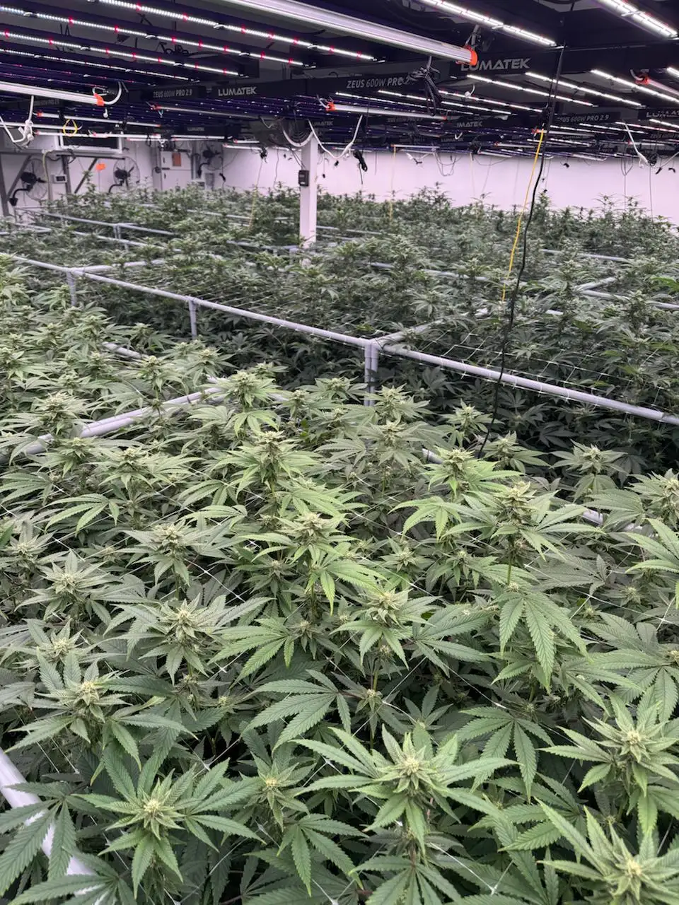 Hazer Mates Farm