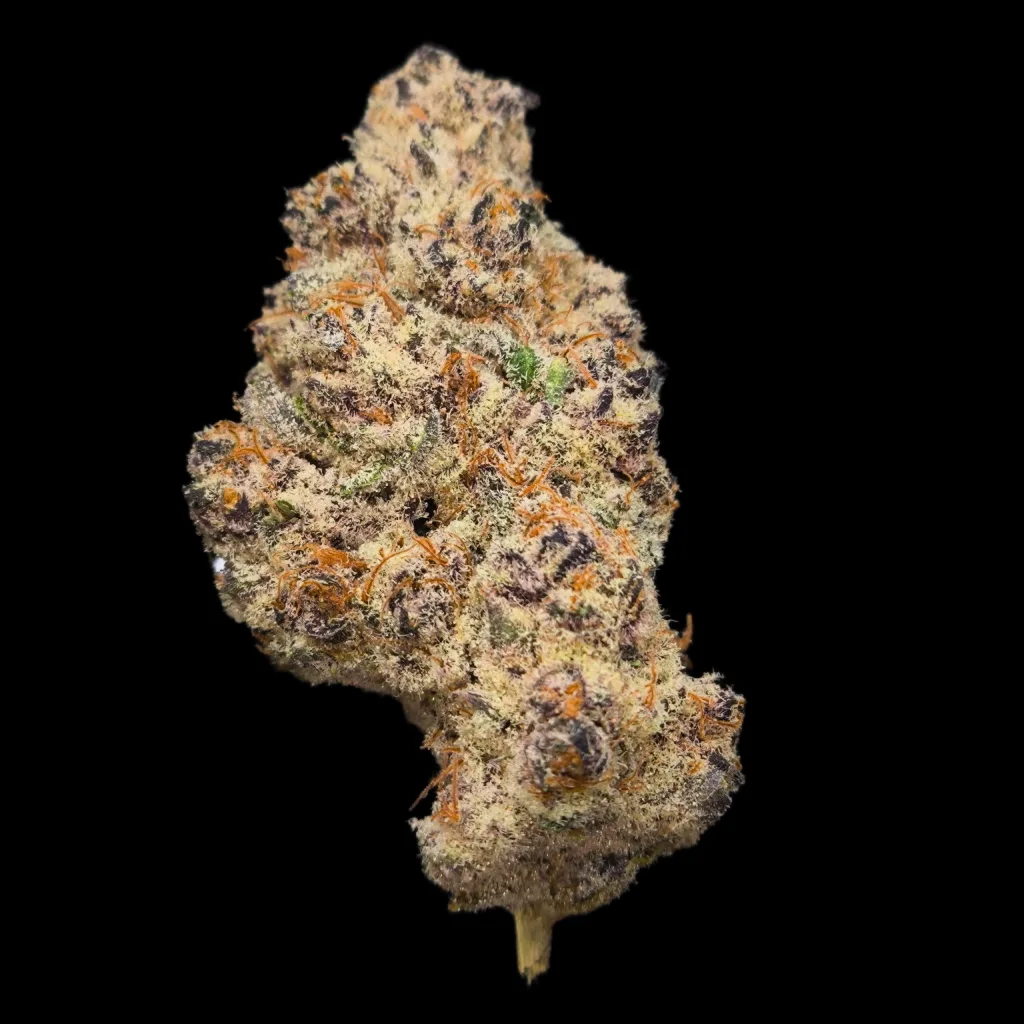 Devil Cherry
